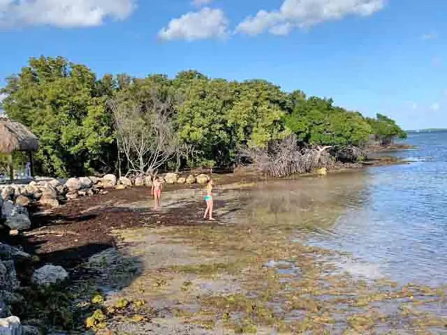 SEA MIST - Oceanfront-Lake-Kayak-Paddleboard-Bike