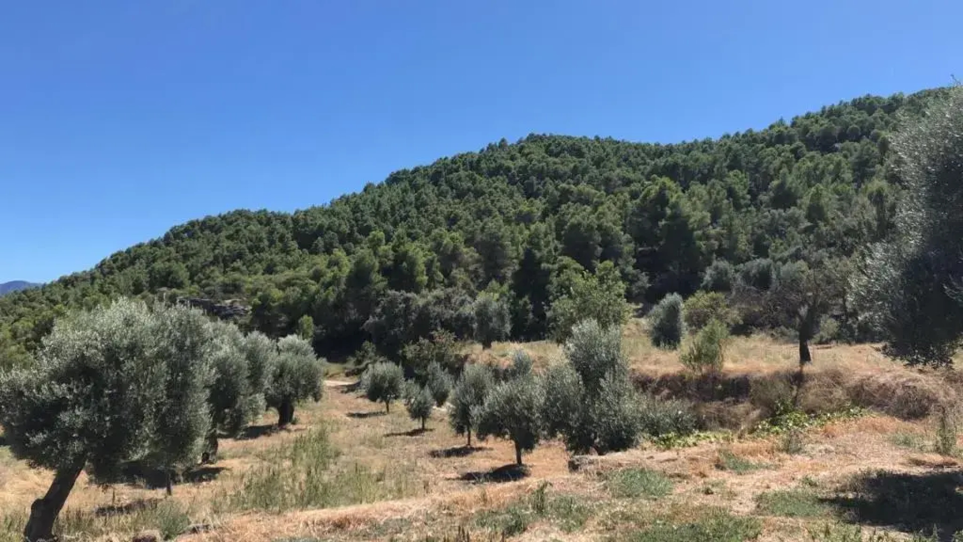 Mas De La Creu