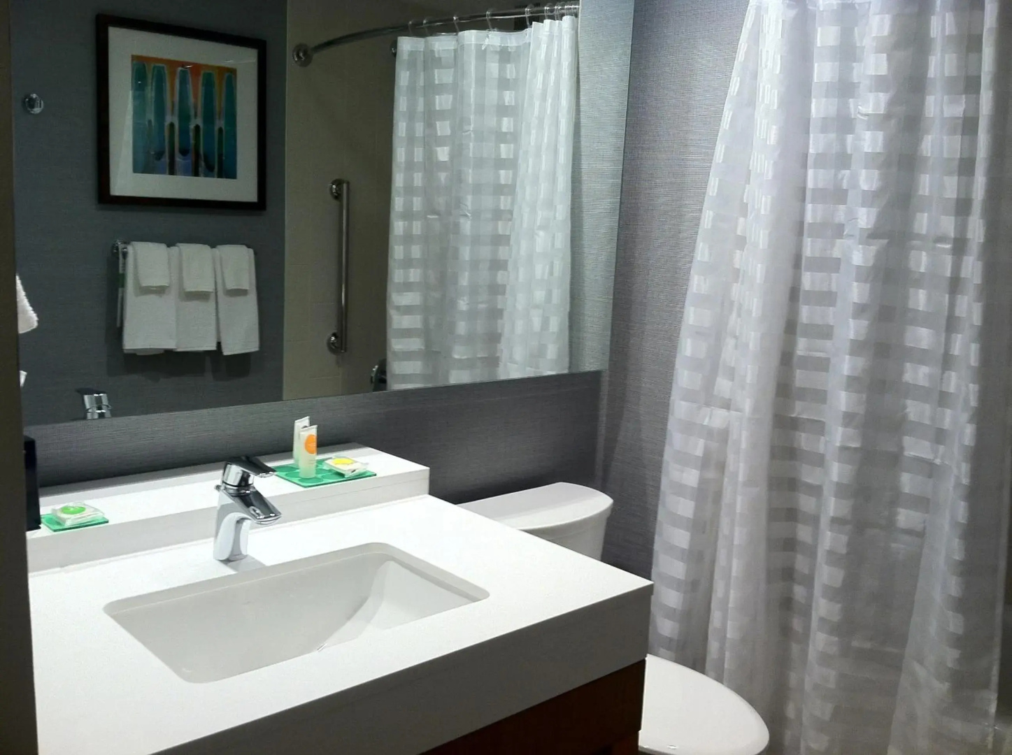 Hyatt Place Detroit/Novi