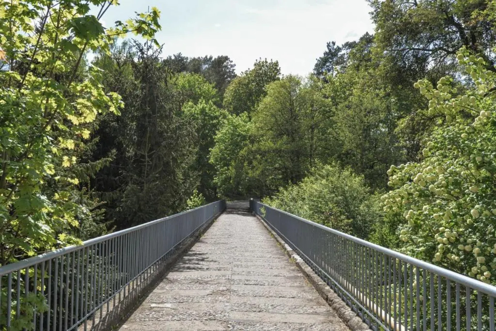 Druskininkai Apartment