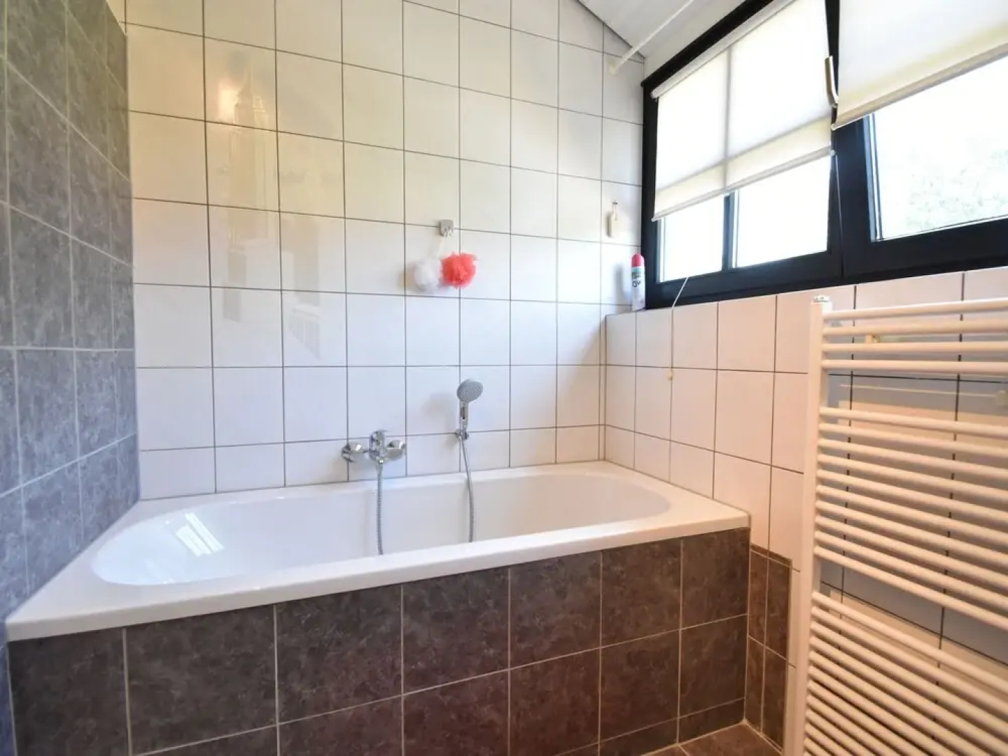 Spacious Mansion With Meadow View in Bruinisse