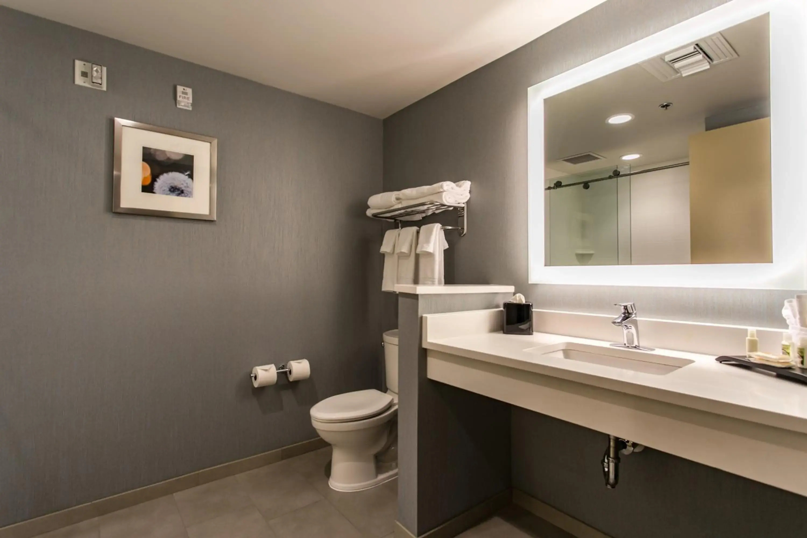 Holiday Inn Hotel & Suites Chattanooga Downtown by IHG
