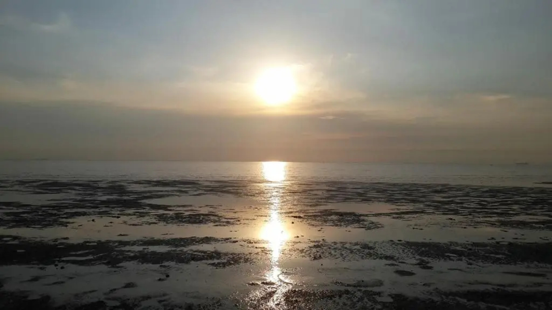 Gold Coast Morib Apartment