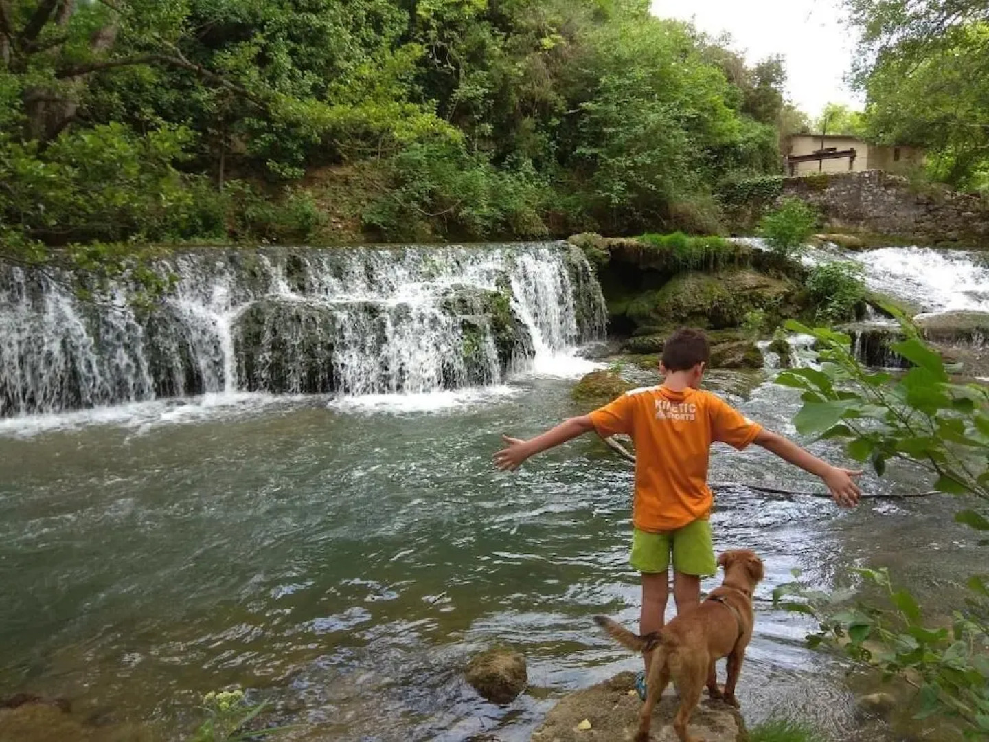 La Madriguera de Tomaso