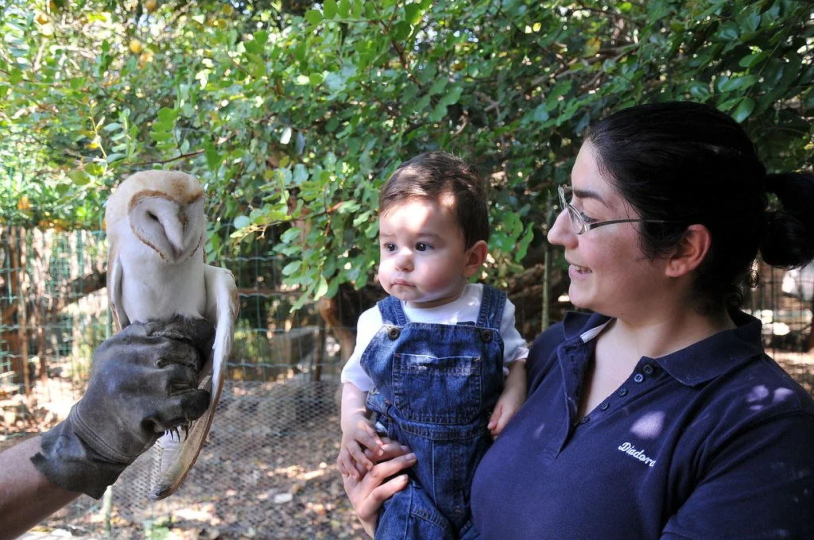 Casa Vacanza La Scisa