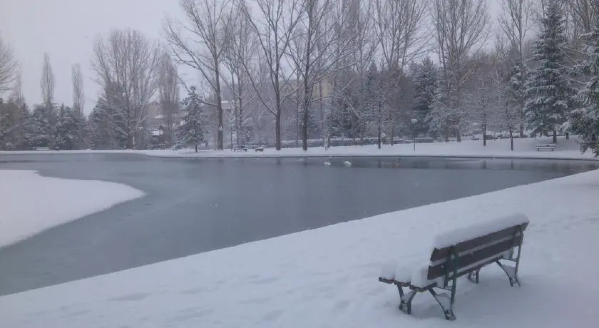 Hôtel Restaurant du Lac