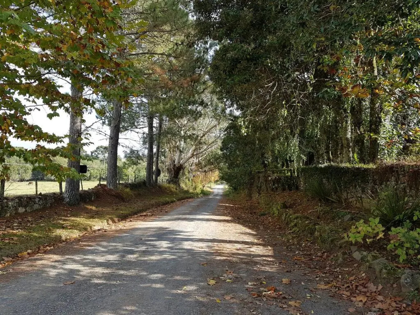 Pousada Refugio do Lago