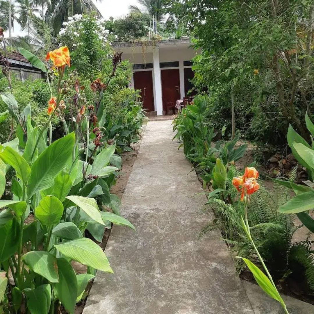 Brian's Homestay Balapitiya