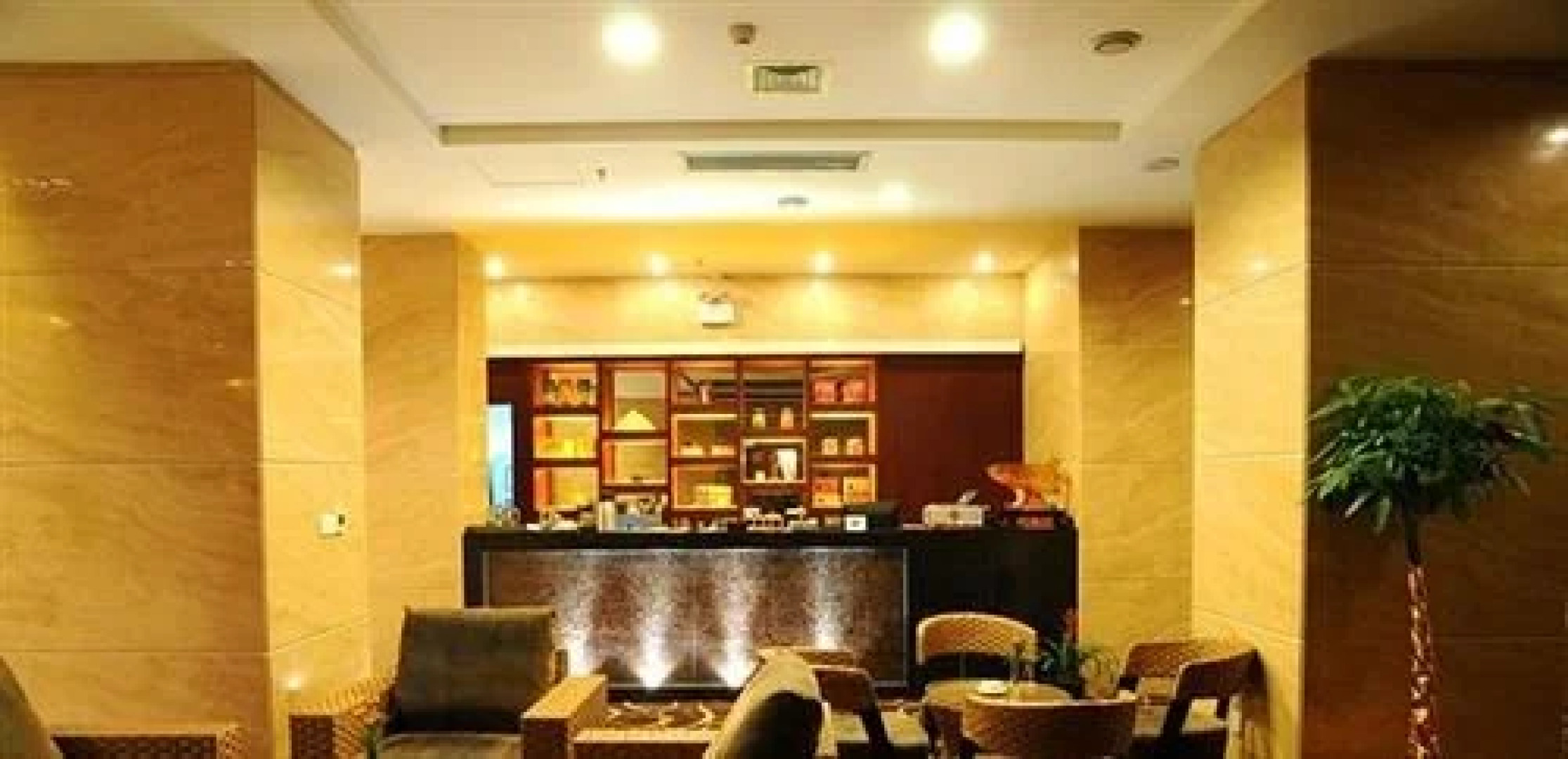 Zixin Hotel (Shaoyang High-speed Railway Station Central Hospital)