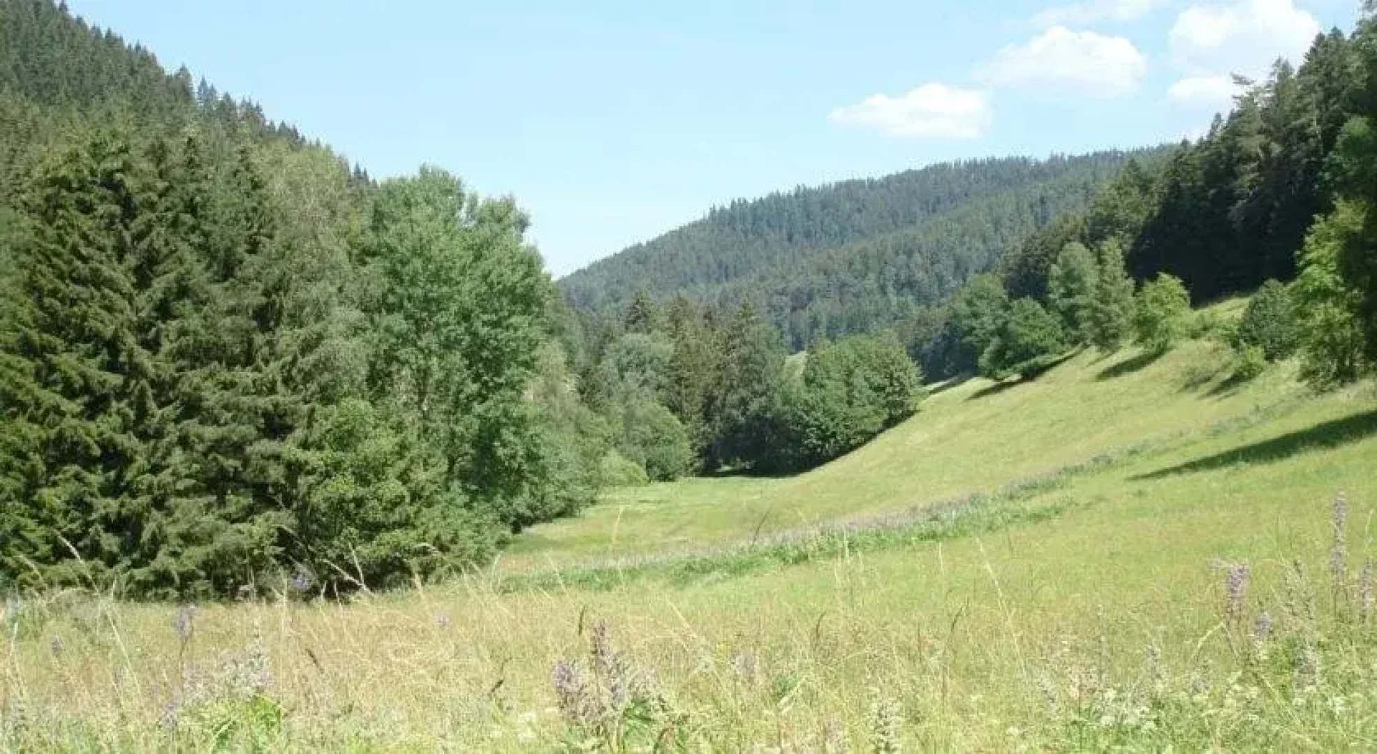 Hotel Zum Hirsch