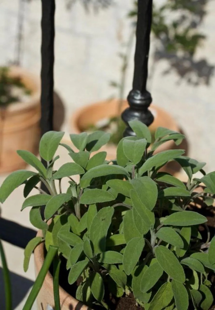 Room Lan R2 Trogir, Riviera Trogir