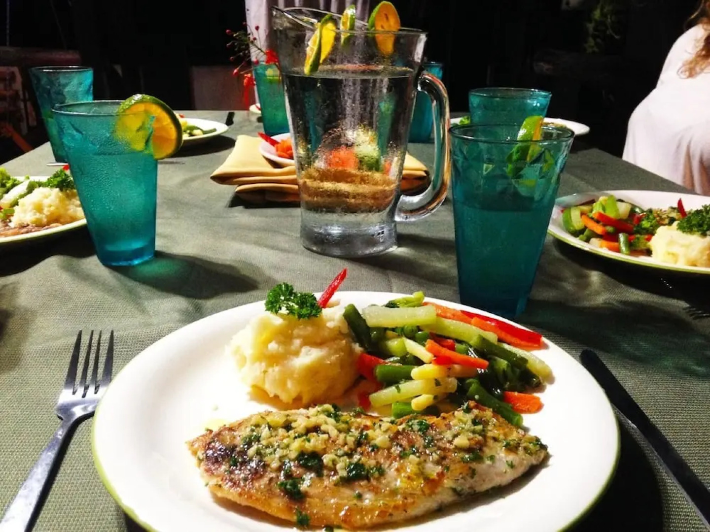 Jungle Lodge at Wild Sun Rescue