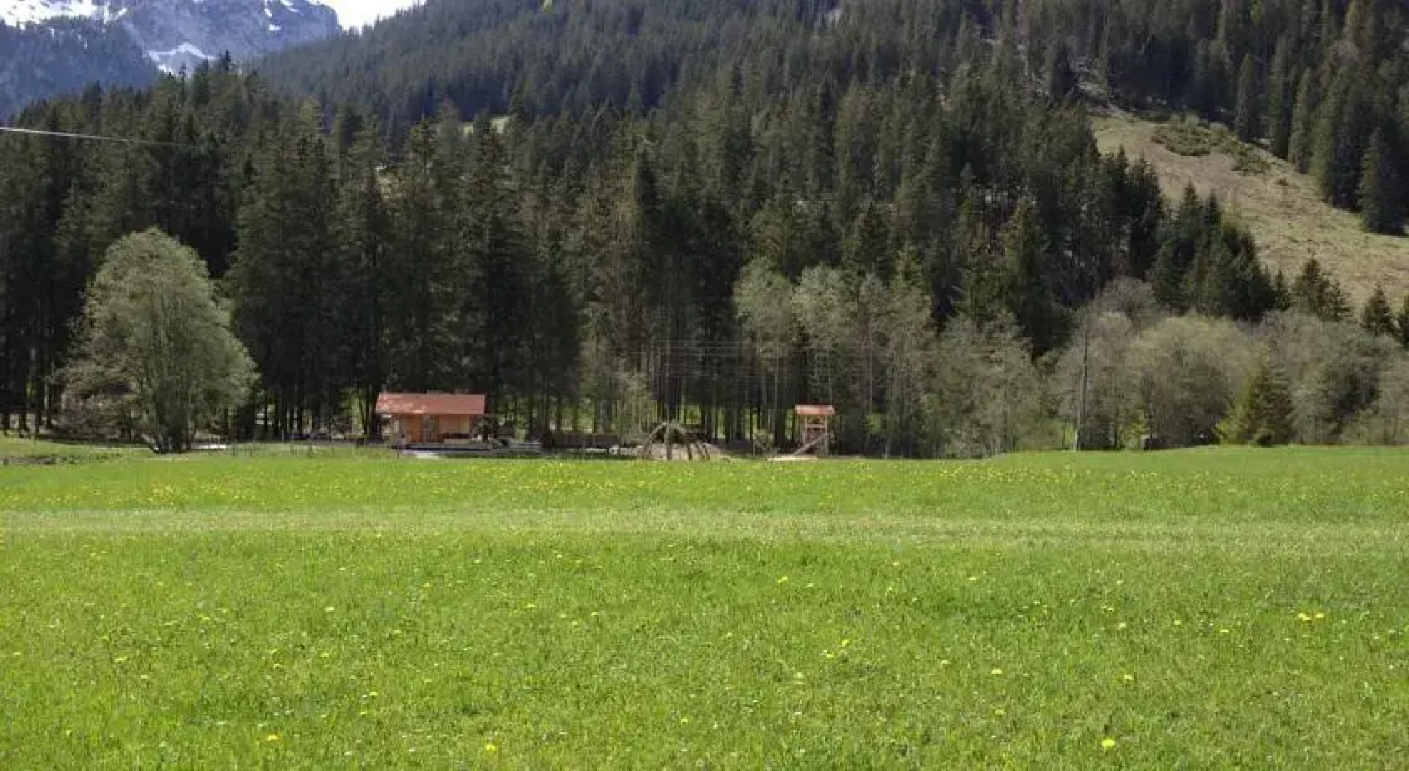 Restaurant Tiermatti