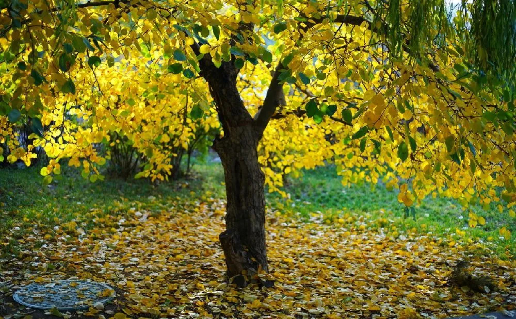 Qingshan Hotel Baotou（Yingbin Building）