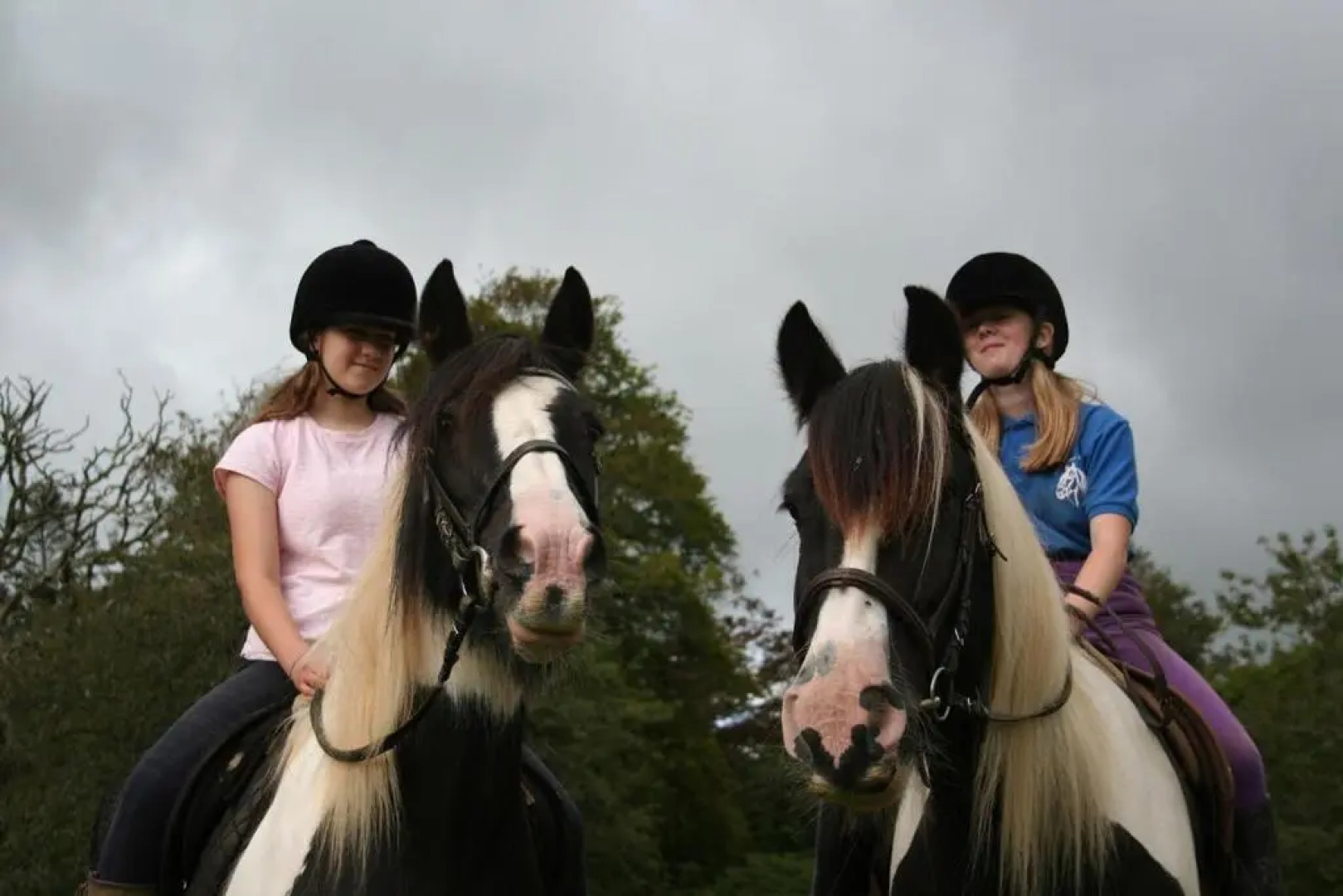 Great Trethew Manor Hotel & Restaurant