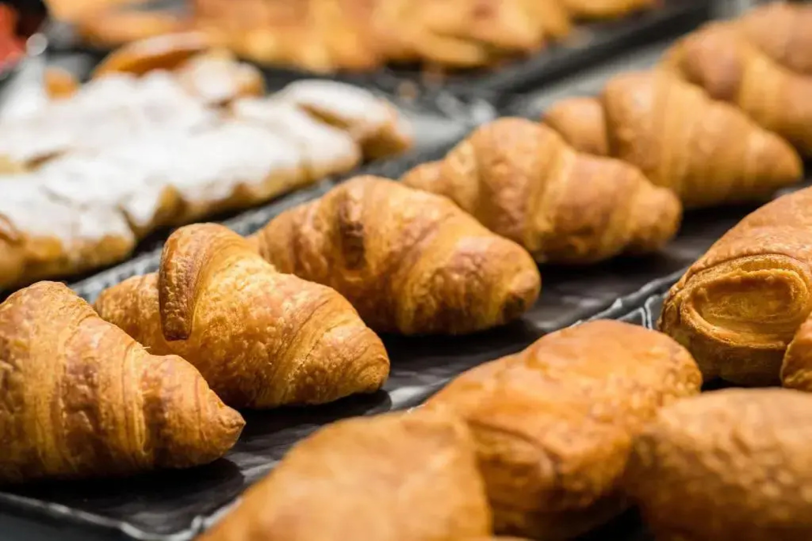 Alexandra Elegance Bridging Generations