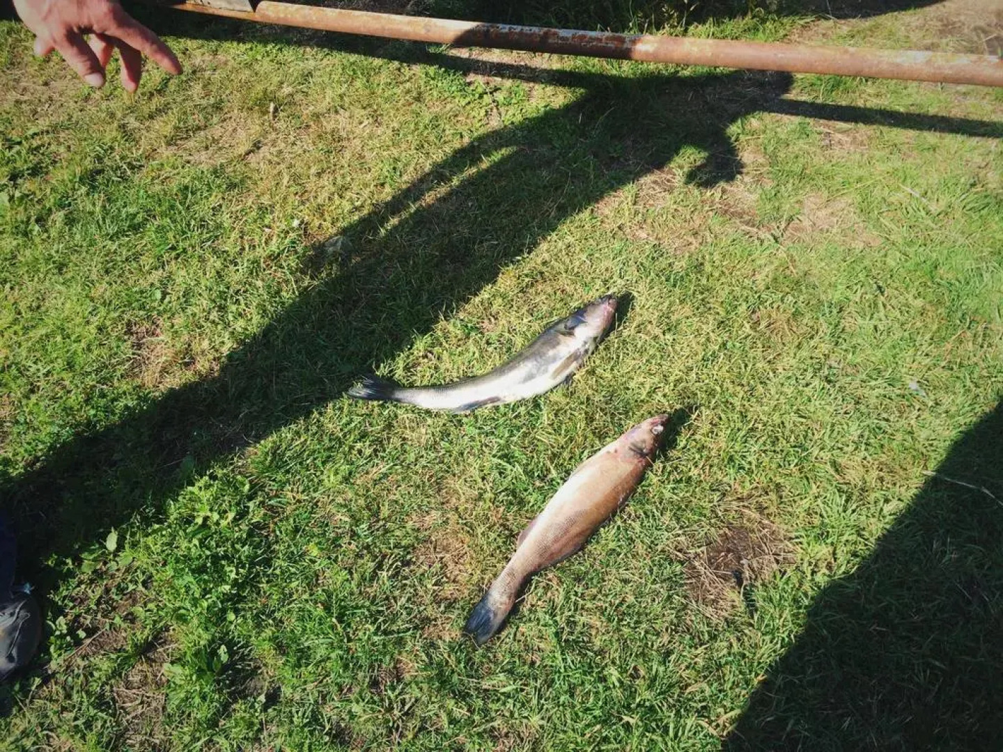 Semeinaya Baza Medvejia Kara