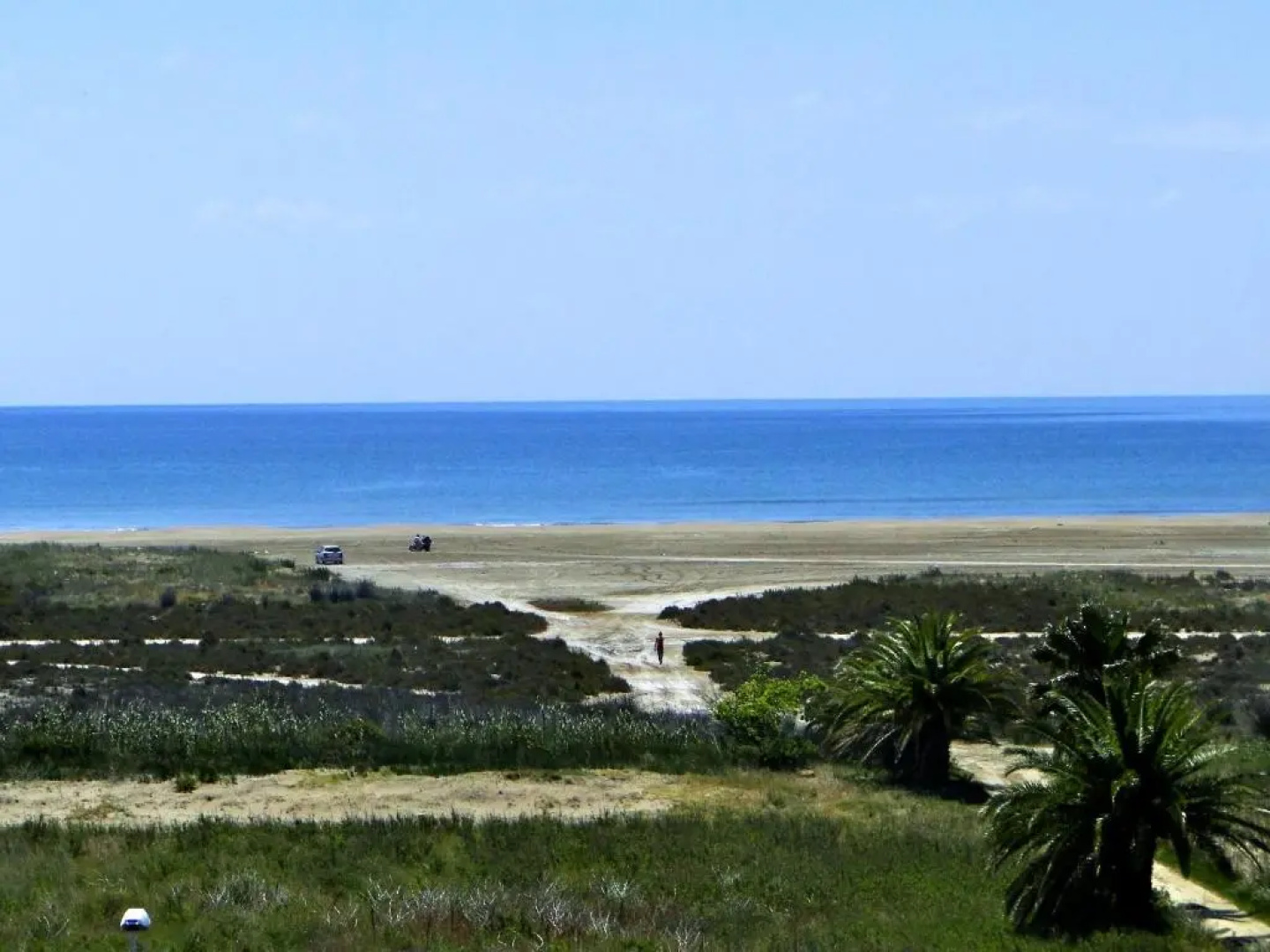 Casa Eucaliptus