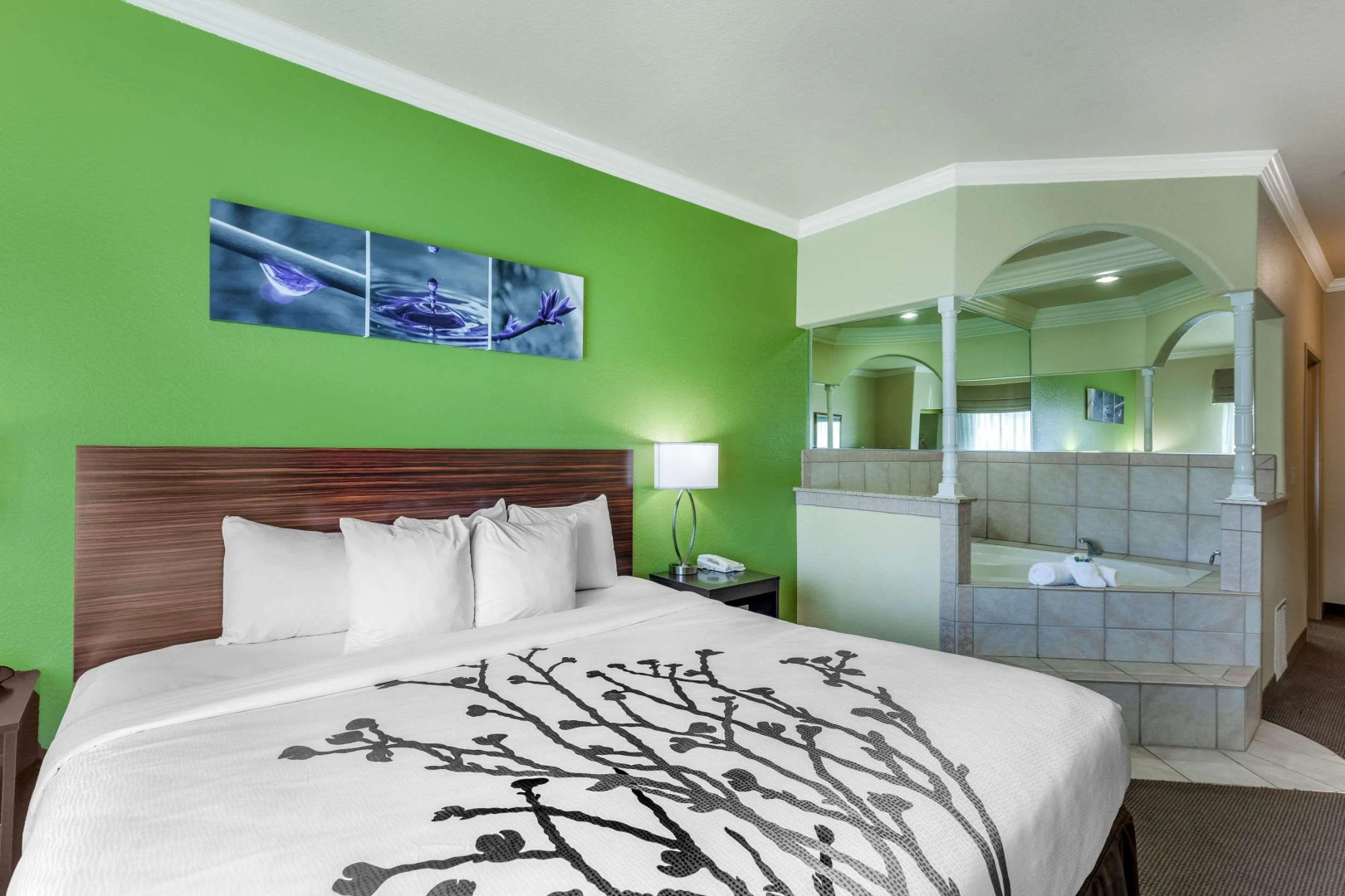 Sleep Inn & Suites Hewitt - South Waco