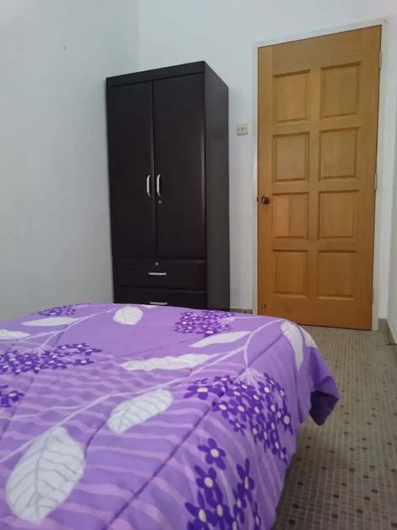 Sea Lion by the Beach