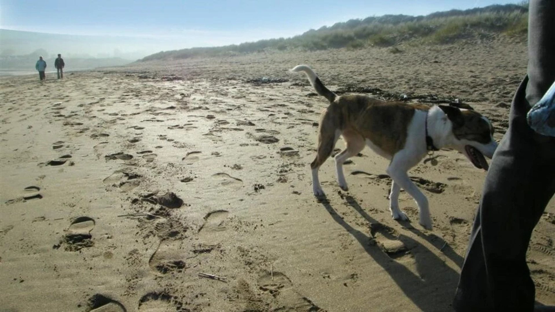 Freshwater Bay Hol Vge 14