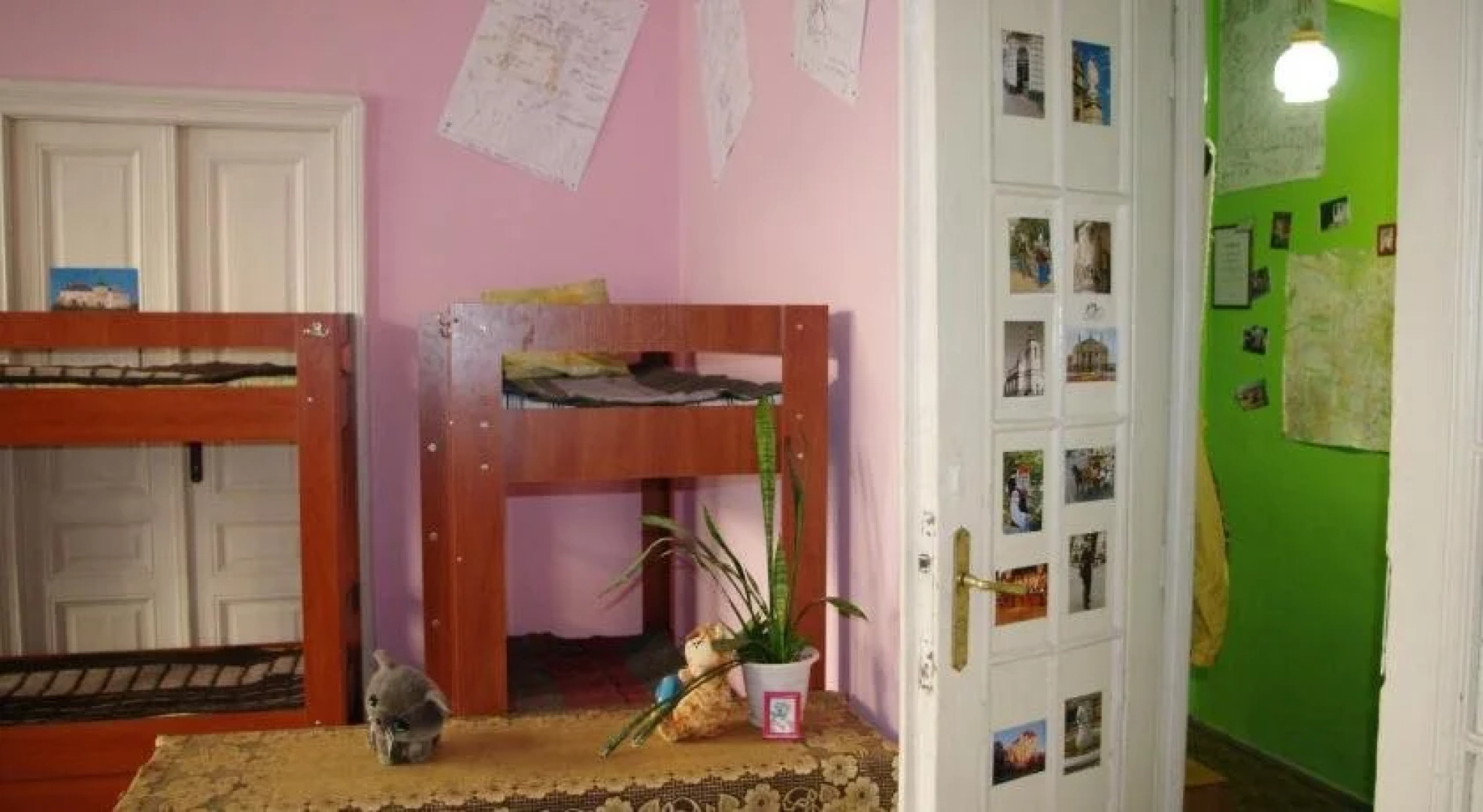 Cat's house Хостел