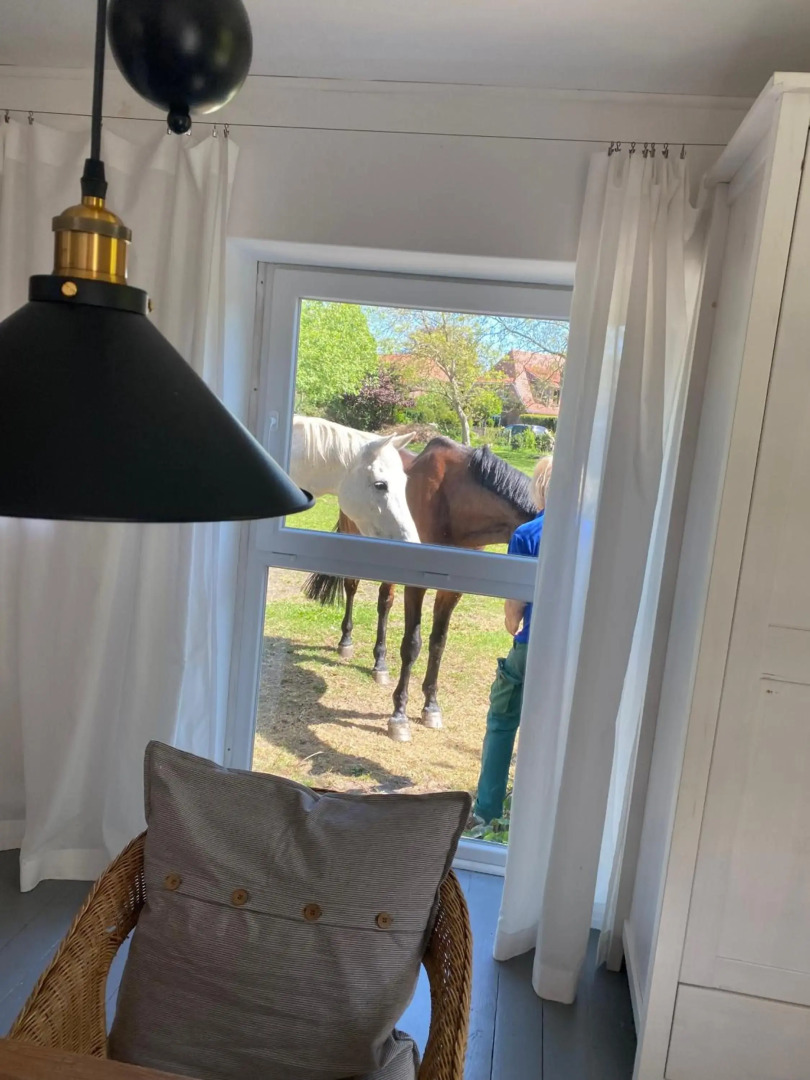 Appartement im alten Pferdestall