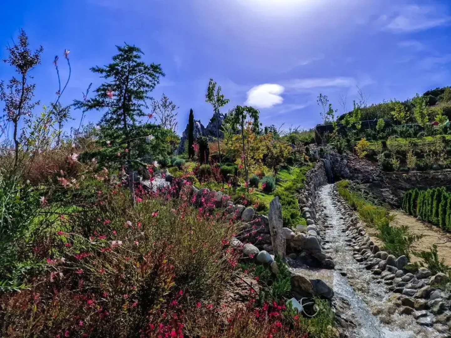 Verdisso Hotel & Restaurant