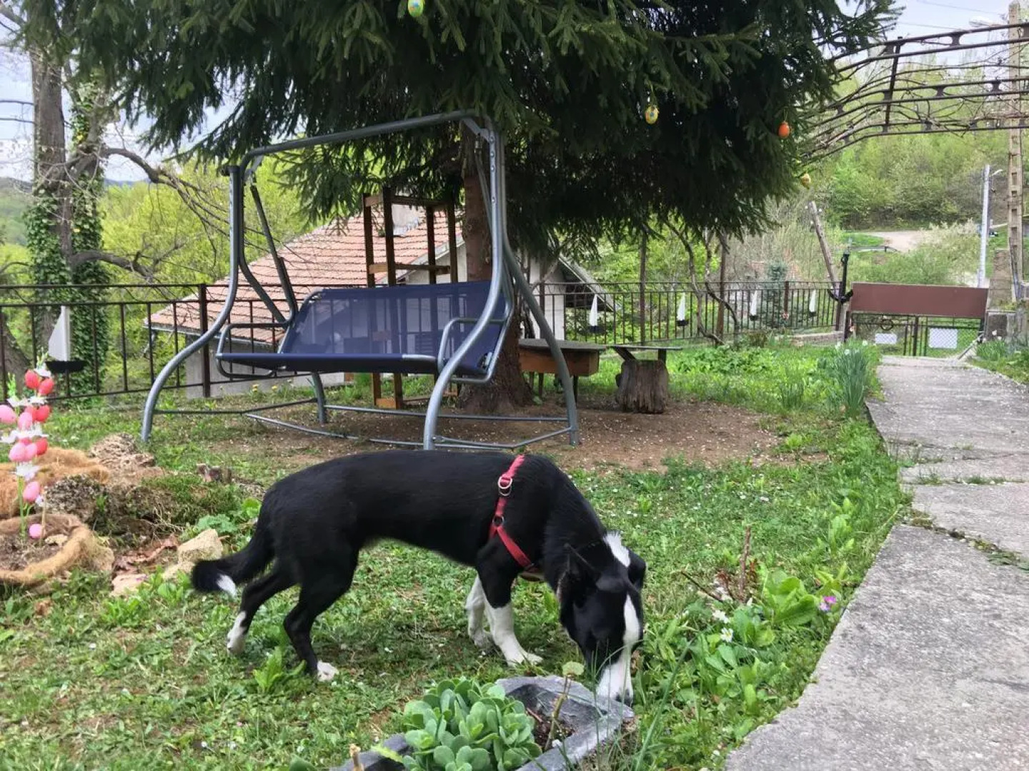 Guest House Daskalov