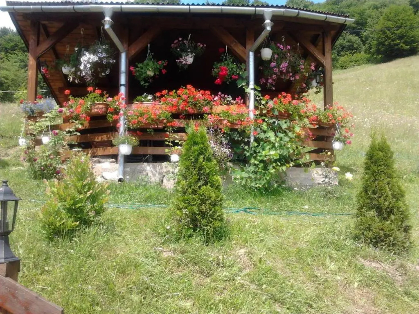 Pensiunea Casa Motilor