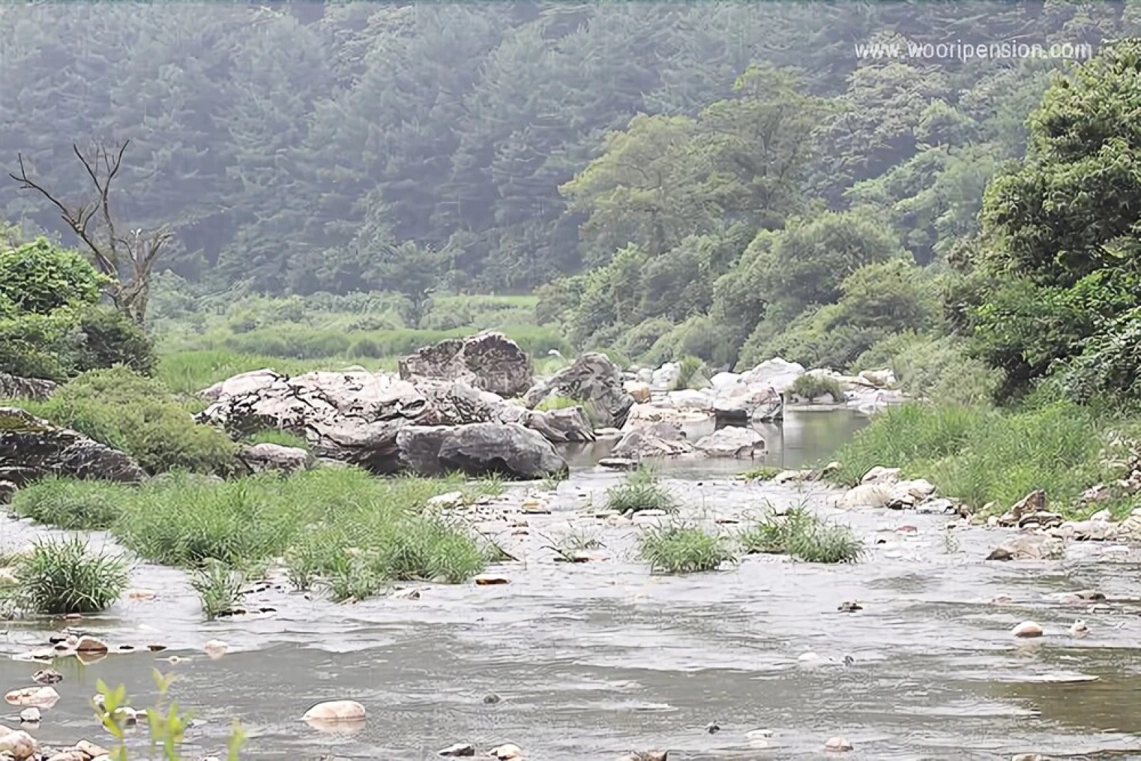 Yangpyeong Evergreen Healing Pension