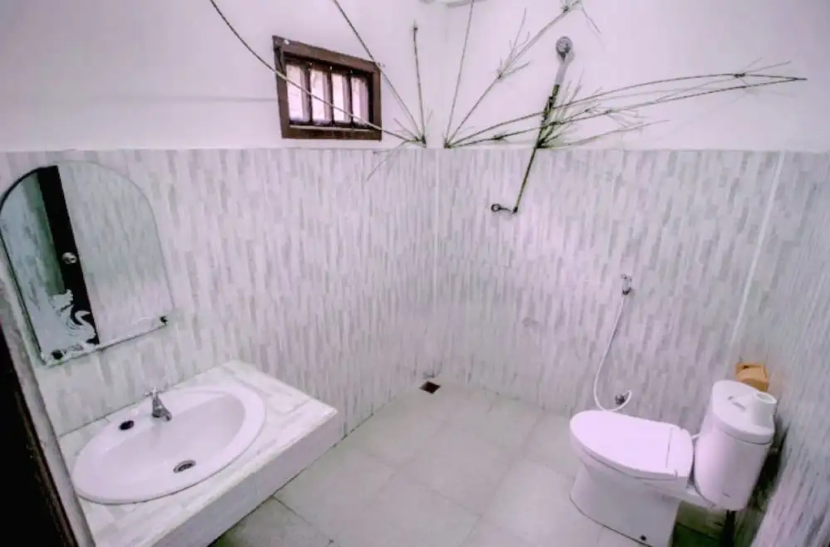 The Rabbit Tree - Hostel