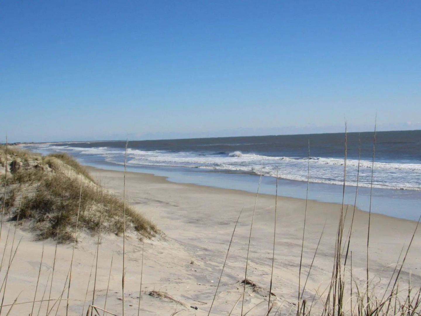 Sea Gull By Kees Vacations
