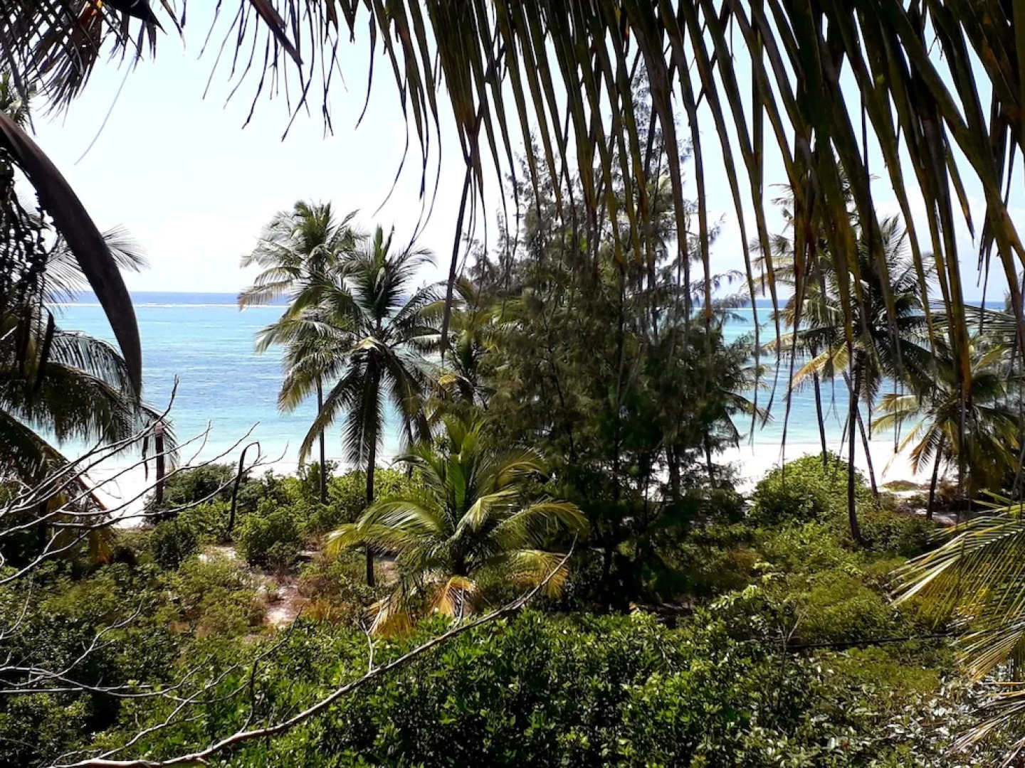 Naomi's Boutique Villa