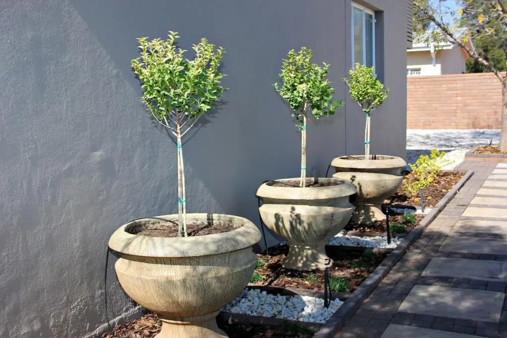 Green Kalahari Guesthouse