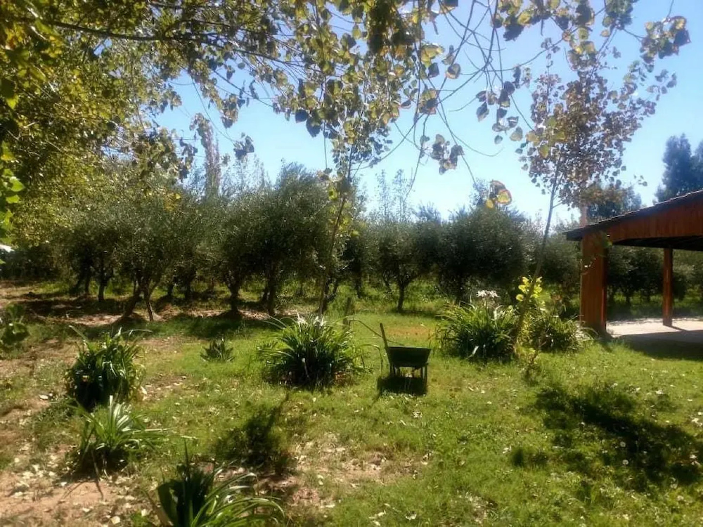 Establecimiento Finca Doña Maria