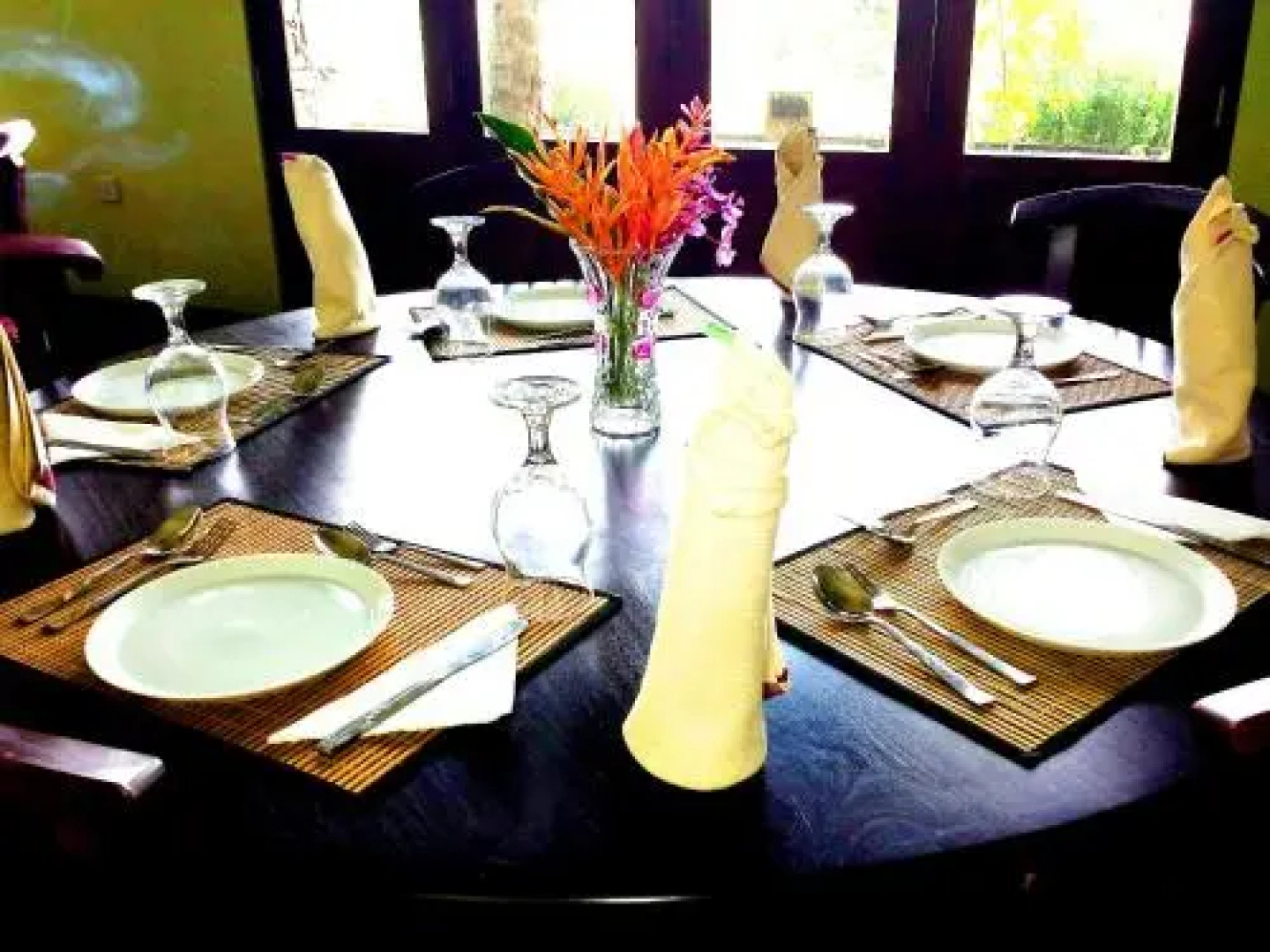 Dr. Mikes Family Ranch