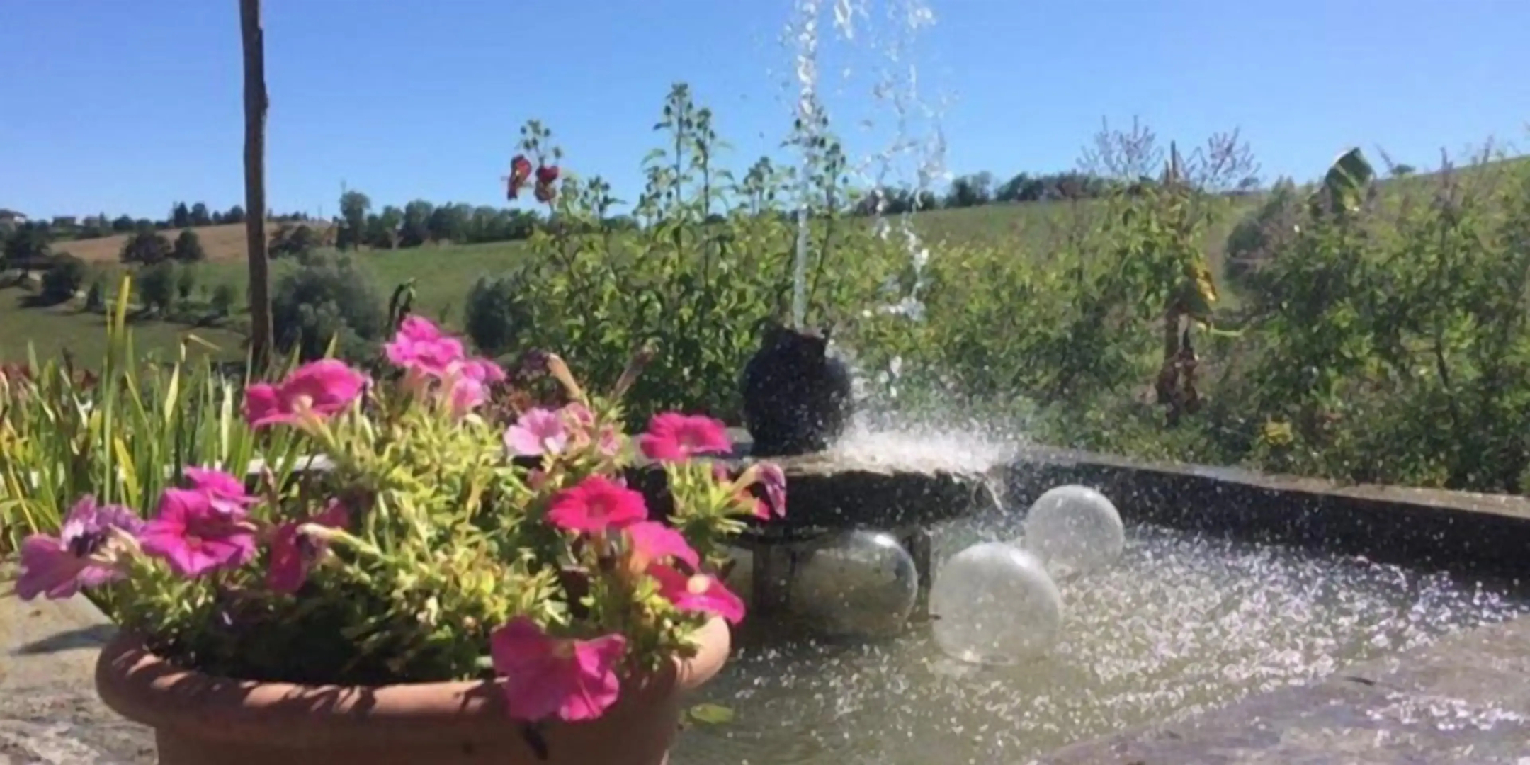 Tenuta il Galletto