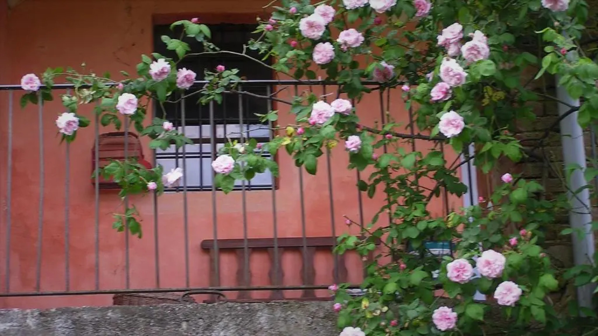 Appartamento nel Verde