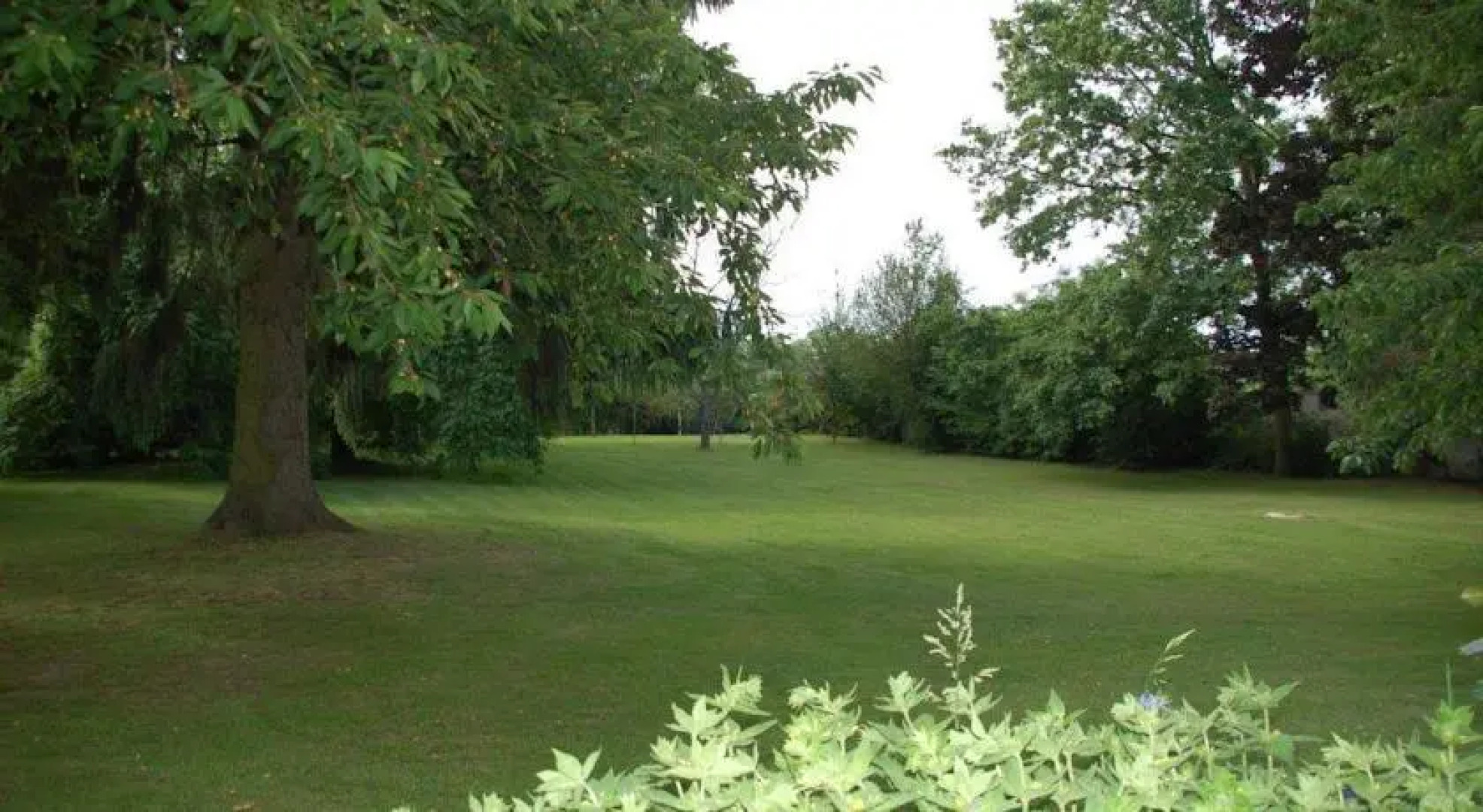 Propriété de caractère