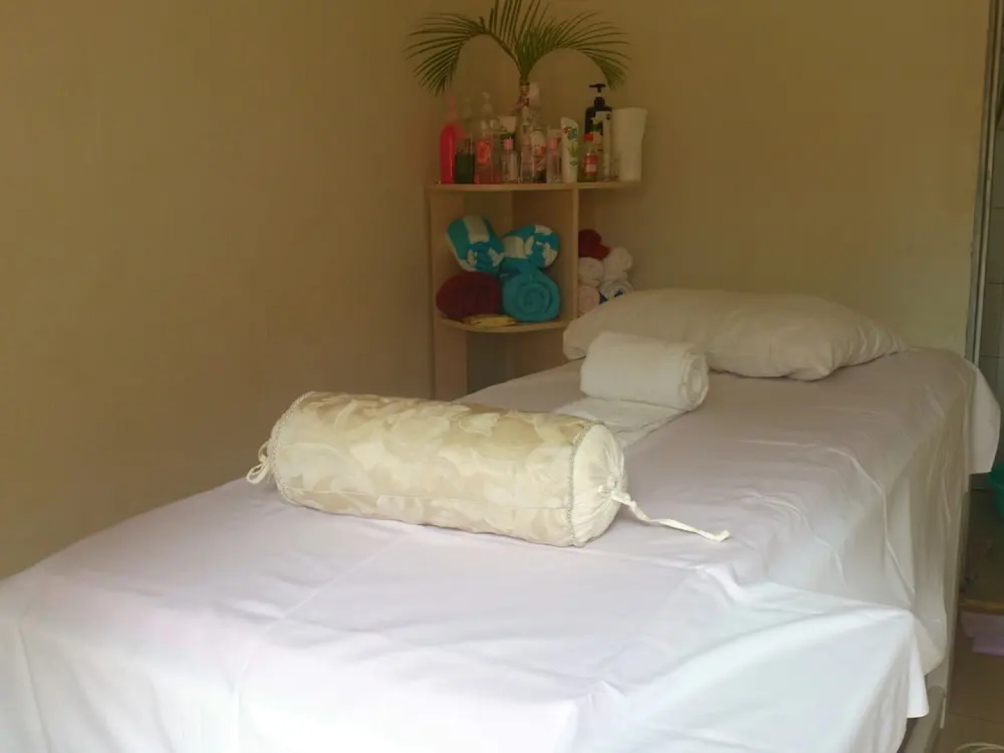 Oceanic House city park motel