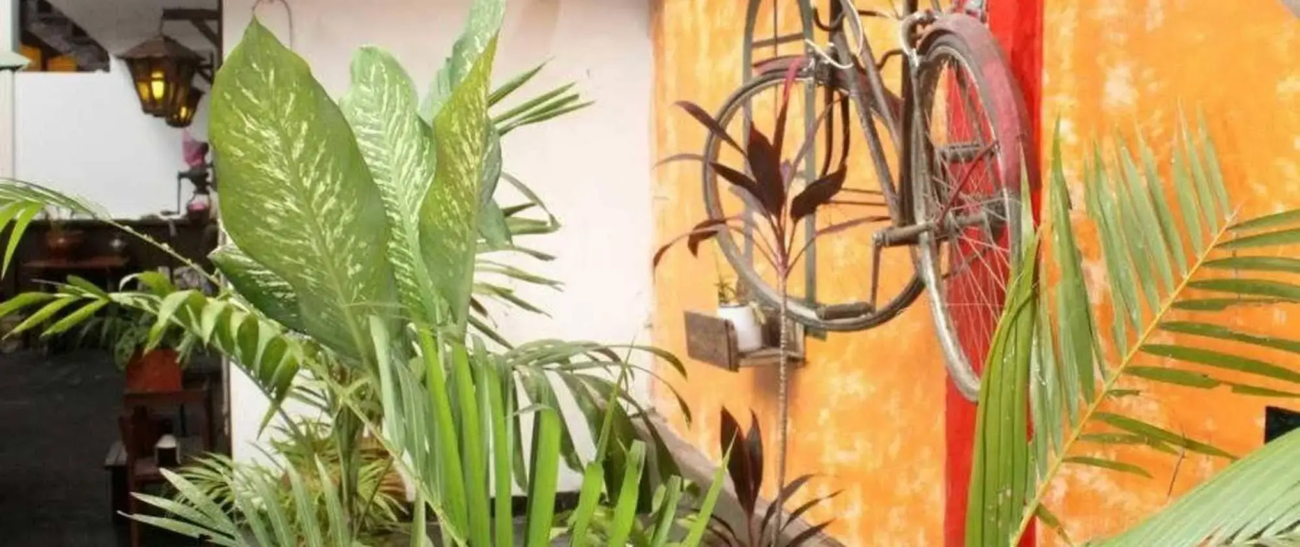 GreenLand Ecohospedaje Tarapoto