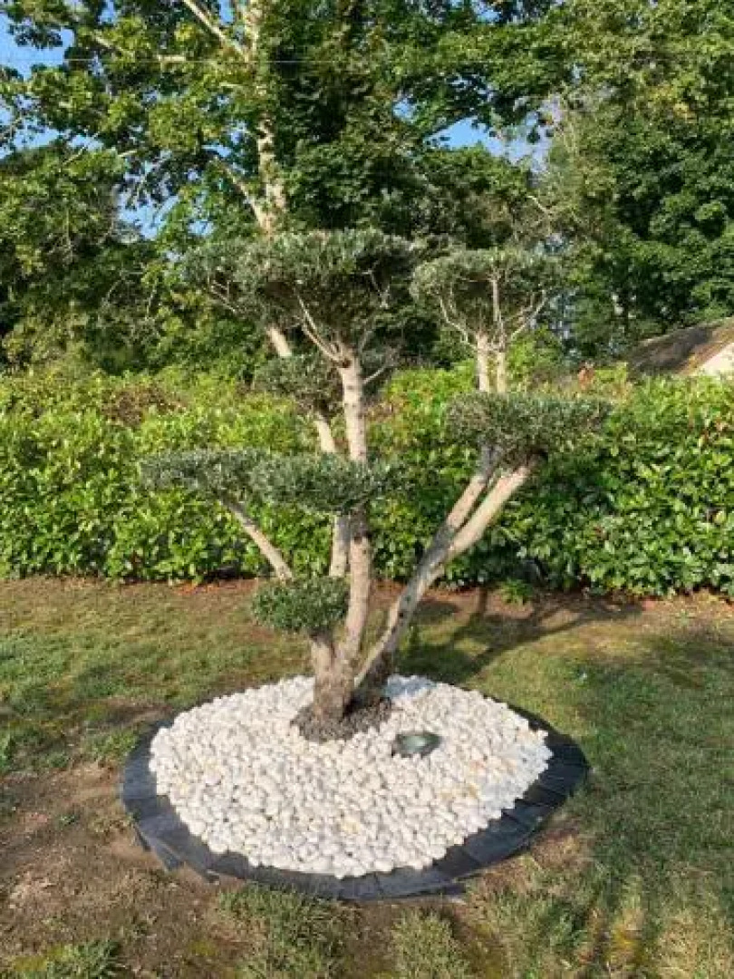 Chambre d'Hôtes Le Lagon