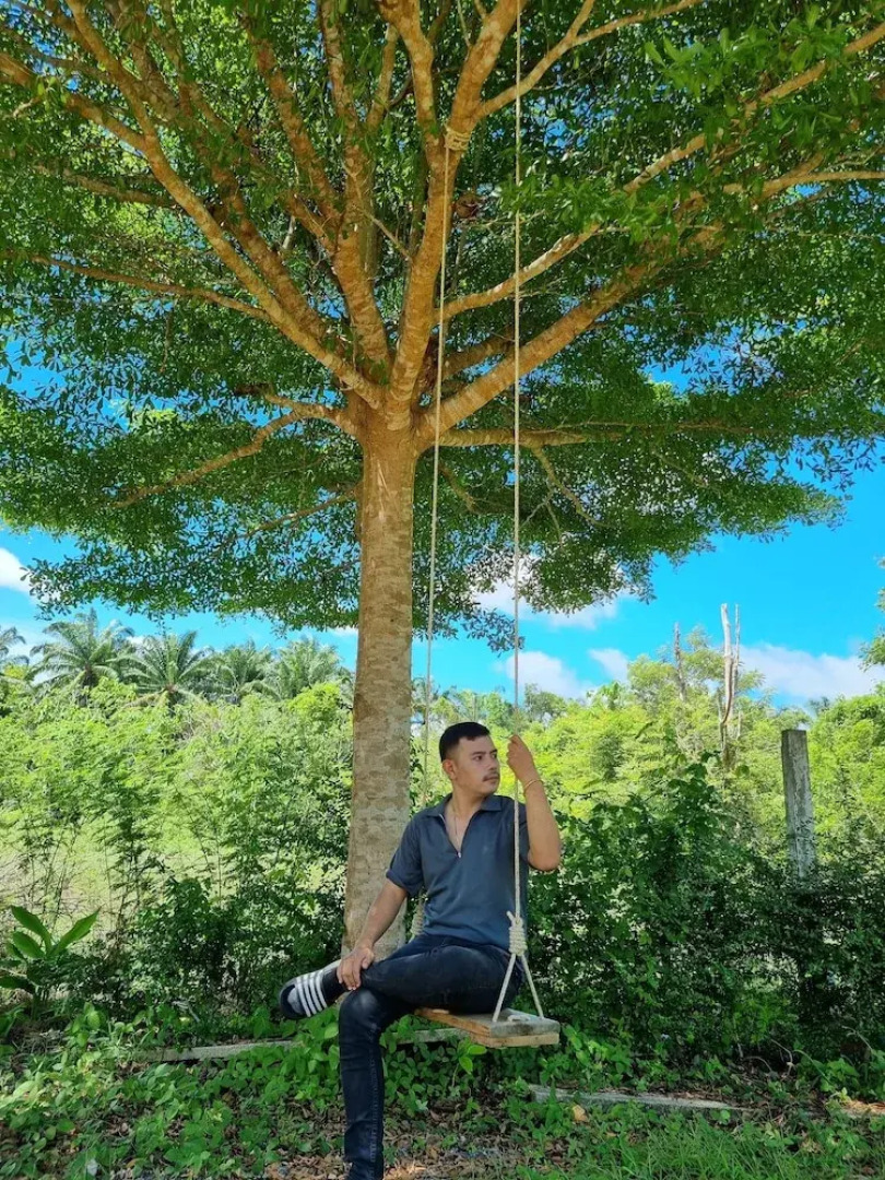 Brown Andaman  Krabi