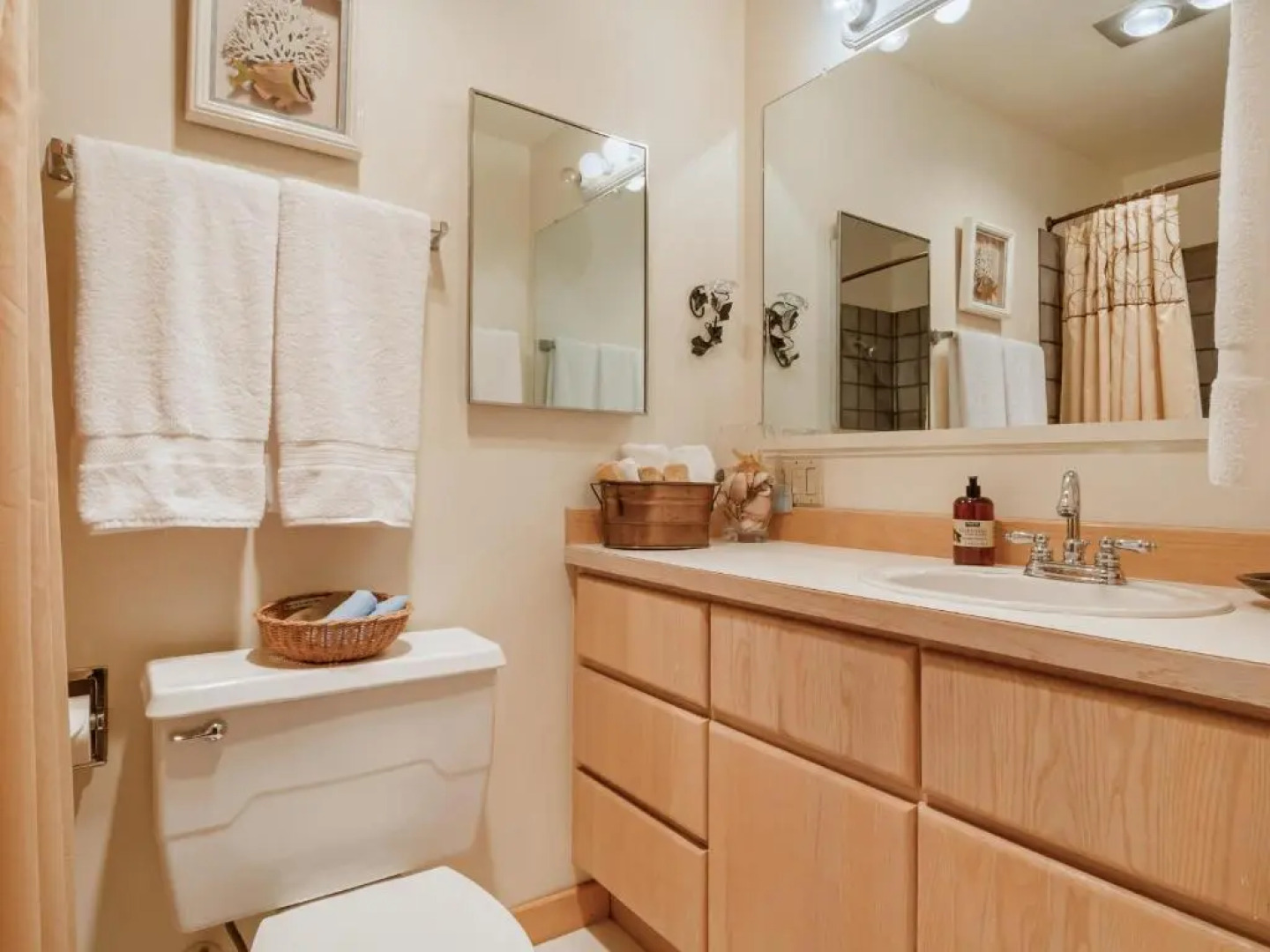 Friday Harbor Lights