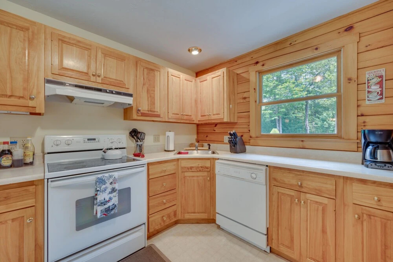 Pet-friendly Conway Cabin ~ 5 to Campton Mountain!