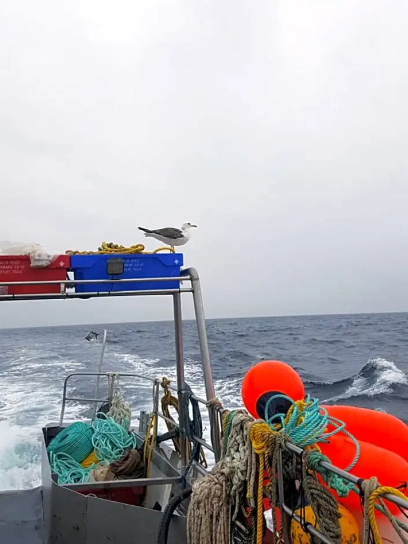 Teach Fada Red Door Cottage