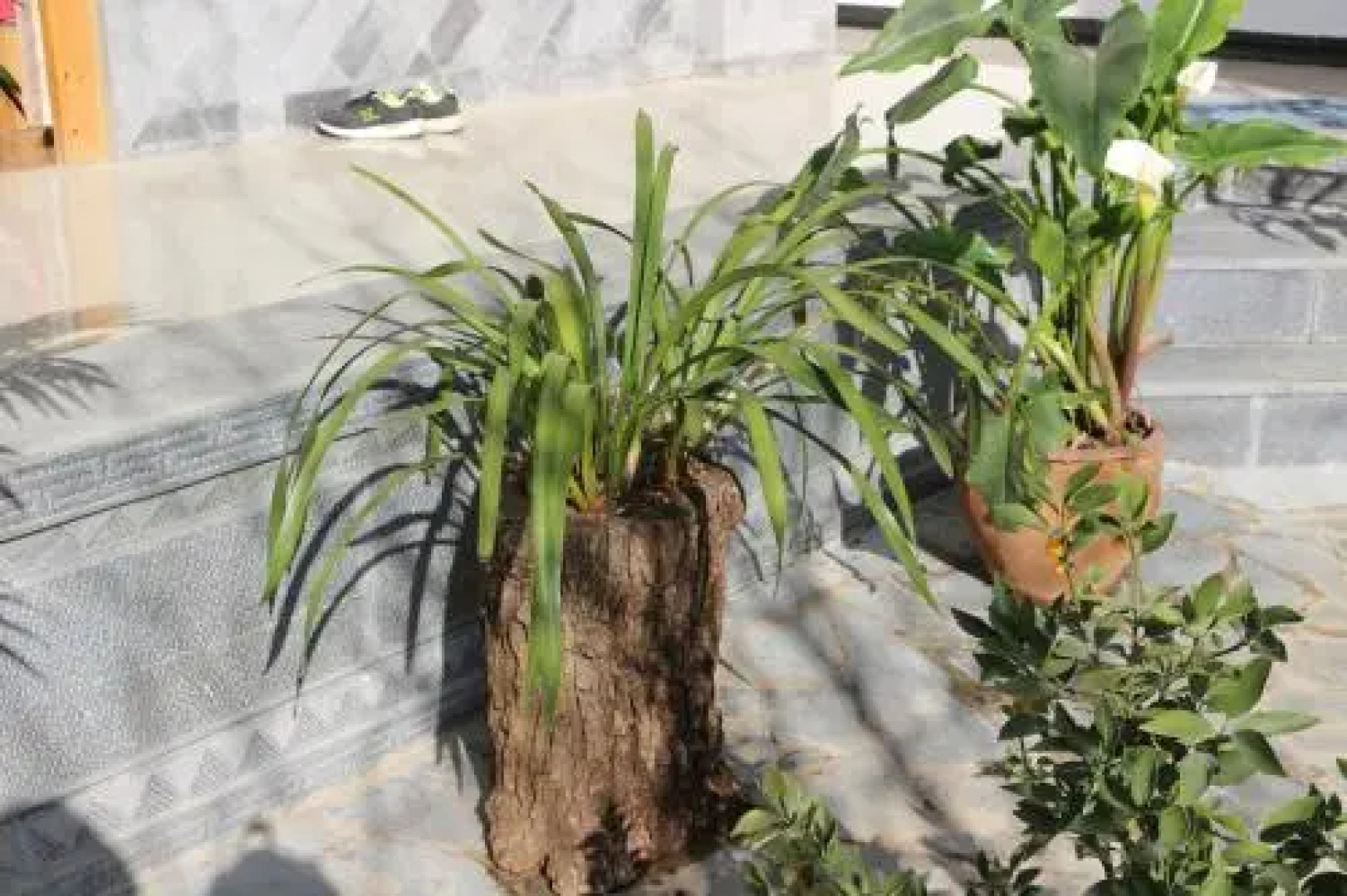 Shuanglang Yunlang Inn