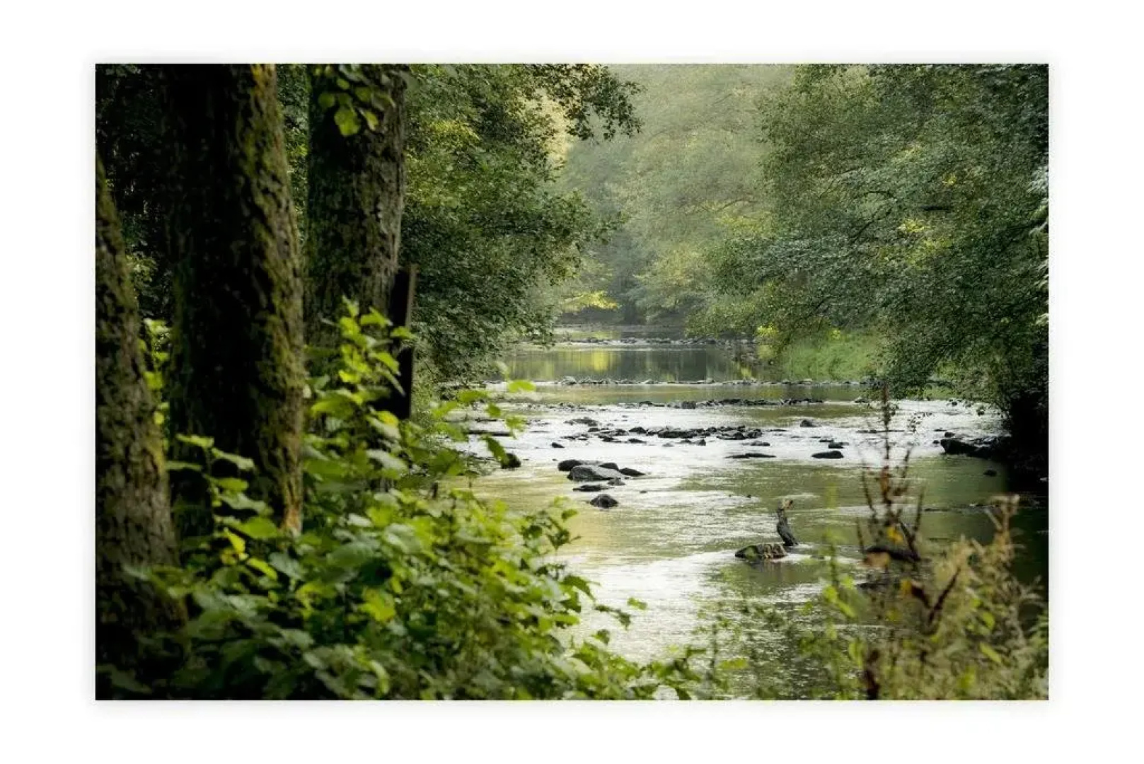 Les cabanes de Rensiwez
