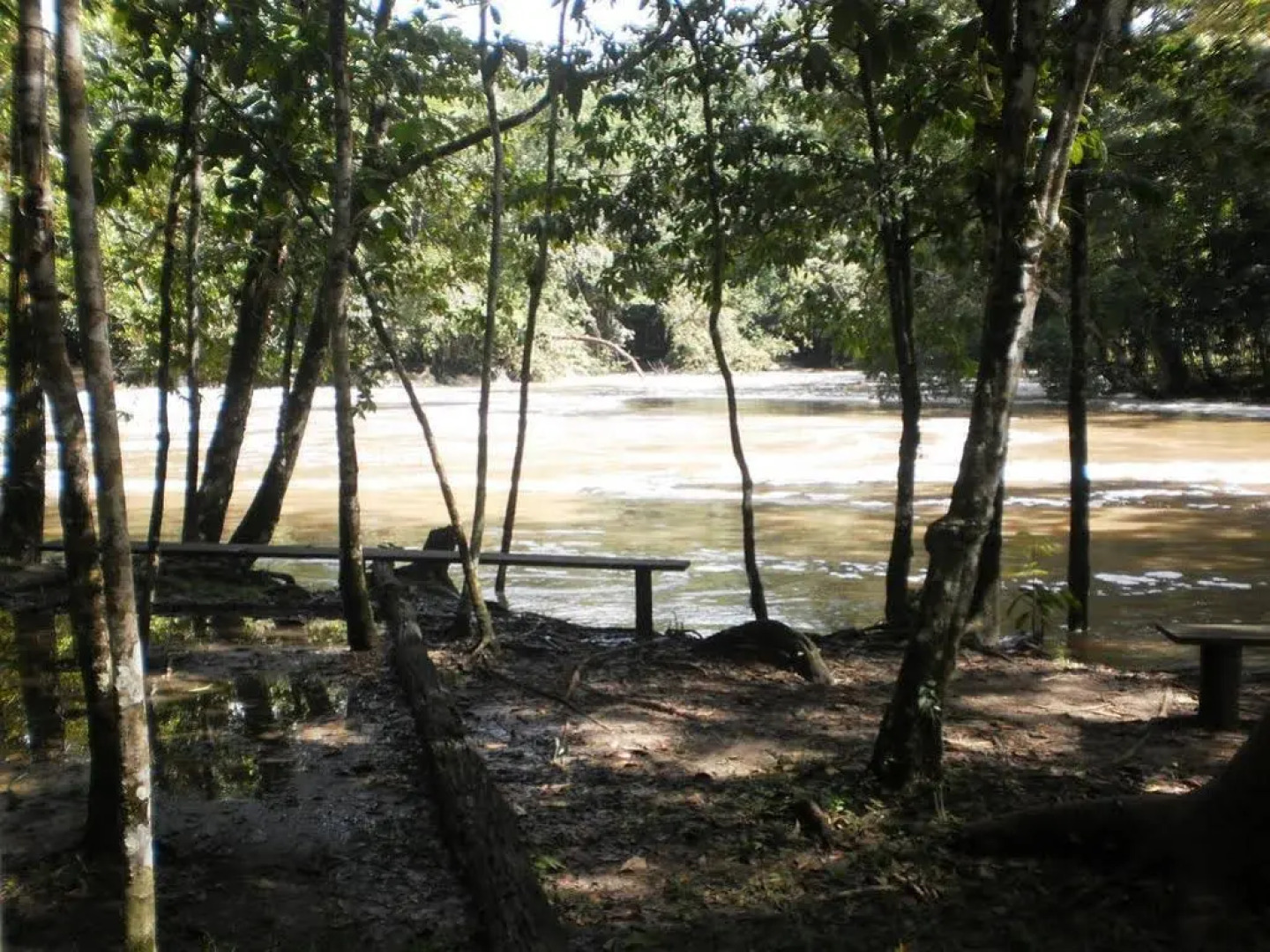 Ecolodge Lacandones - Selva Lacandona